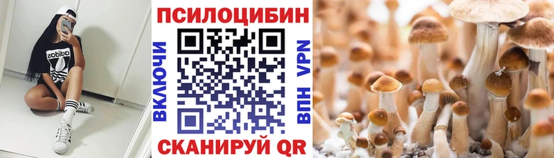 Псилоцибиновые грибы Psilocybine cubensis  продажа наркотиков  Арзамас 