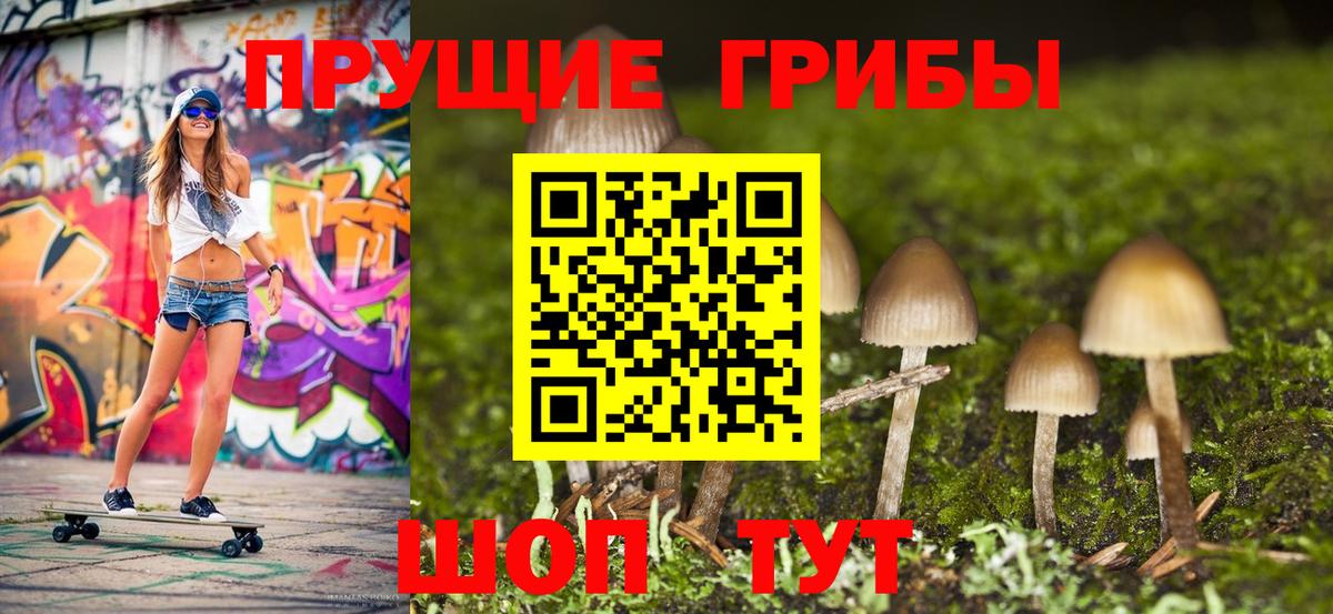 Псилоцибиновые грибы GOLDEN TEACHER  Вход с VPN  Арзамас  Псилоцибиновые грибы Psilocybine cubensis 
